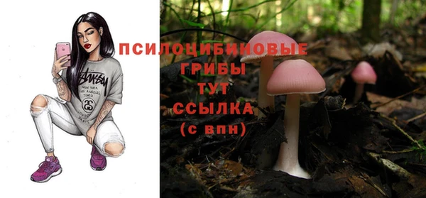 скорость Алзамай