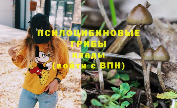 гашиш Алексин