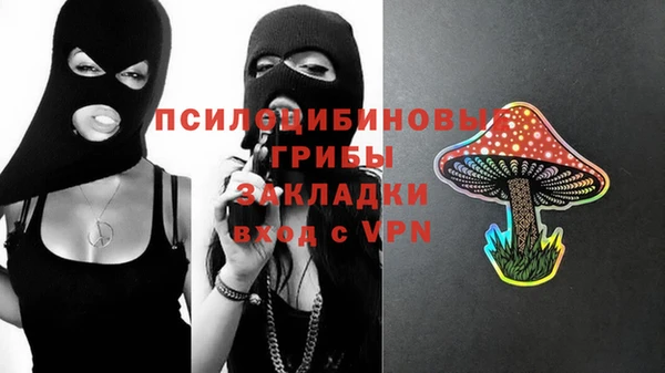 прущие грибы Алексеевка