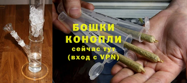 spice Арсеньев